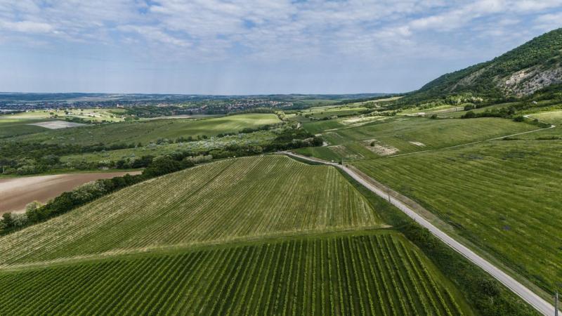 A Vértes lankáin kanyargó kerékpárút vezet a csúcs felé, ahol a dobogó várja a felfedezőket.