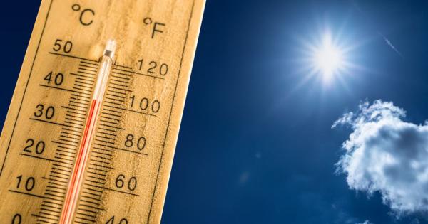 A közelgő nyári hónapokban a perzselő hőség válik az új normává Magyarországon: készüljünk fel az állandó hőgutára!