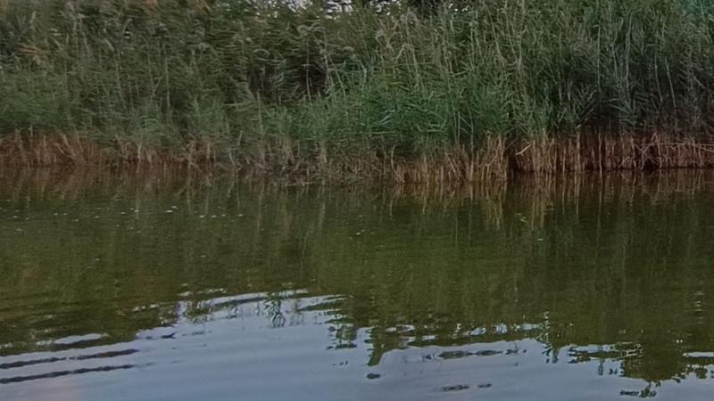 Emberi csontmaradványokra bukkantak a víztározó mélyén.
