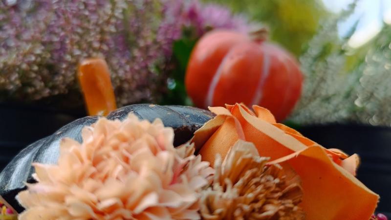 Közeleg a misztikus időszak, amikor a sötétség és a fény határvonalai elmosódnak: Halloween, Mindenszentek és Halottak napja. Az őszi szél hűvösen fúj, a falevelek aranyszínű táncot járnak, és a szellemvilág kapui kinyílnak, hogy üdvözöljék azokat, akiket