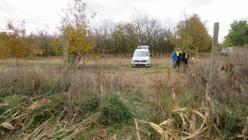 Ismételten elcsípték a diótolvajokat a csonthéjasok mesés birodalmában.