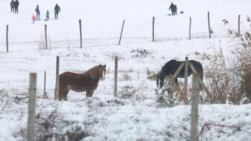 Sűrű felhők gyülekeznek Veszprém környékén, és az élénk szél is felerősödik – vajon újabb havazás vár ránk?