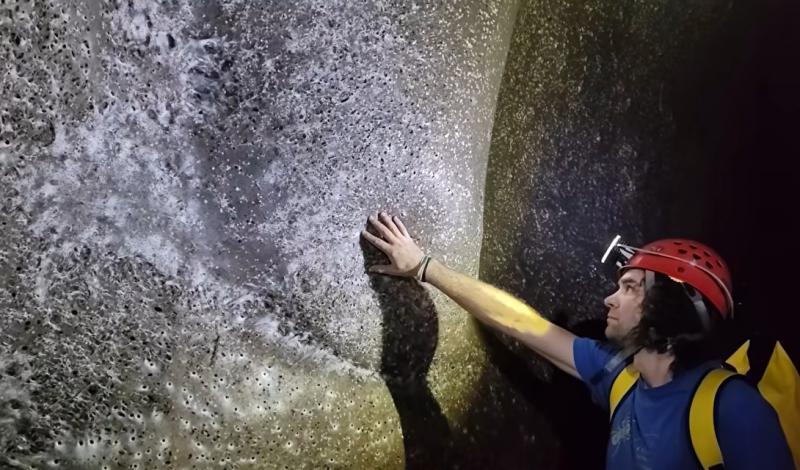 Az erdélyi magyar biológus, aki a tudományos közösség figyelmének középpontjába került.