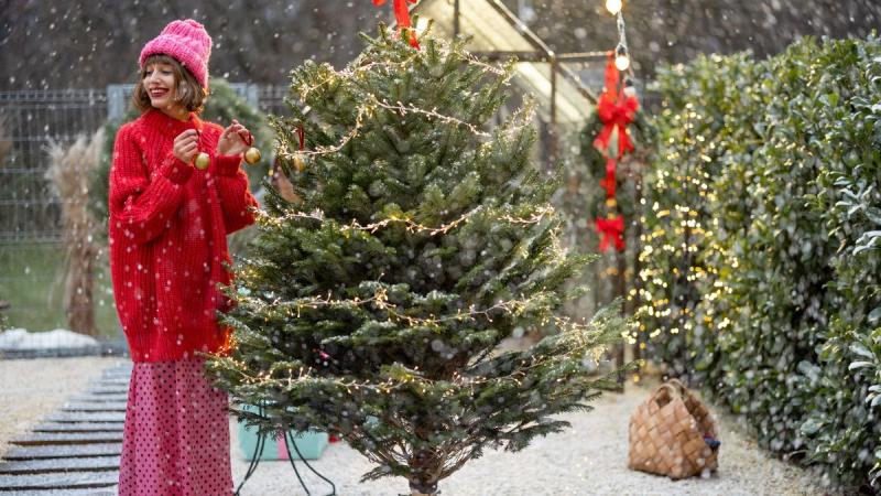 A karácsonyfád díszítése sokkal többet mond el rólad, mint gondolnád. Minden egyes dísz és színválasztás egyfajta tükörképe a személyiségednek és az ünnepi hangulatodnak. A klasszikus, visszafogott díszítést választók talán a hagyományok iránti szeretetük