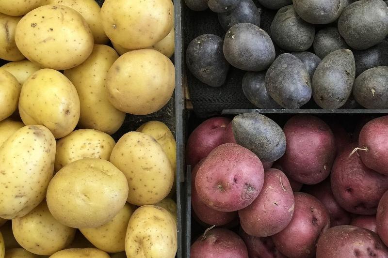 Burgonyatermesztés forradalma – Új irányok a magyar mezőgazdaságban

A burgonya, mint alapvető élelmiszer, mindig is kulcsszerepet játszott a magyar mezőgazdaságban. Most azonban egy új korszak küszöbén állunk, ahol a hagyományos módszerek mellett innovat