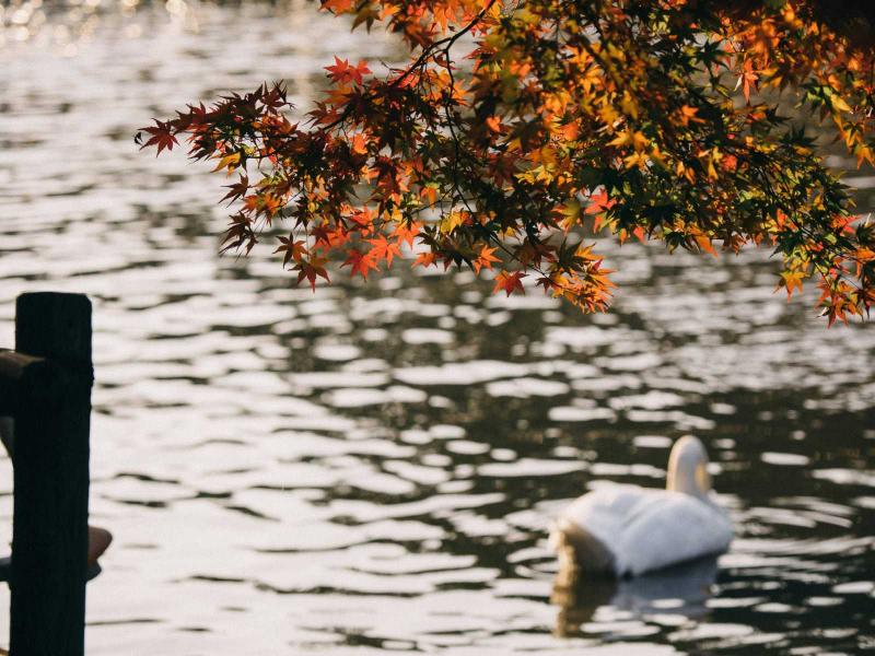 Hamarosan egy érdekes időjárási jelenség vár ránk: a felmelegedés után hideg és meleg napok váltakoznak egymással.