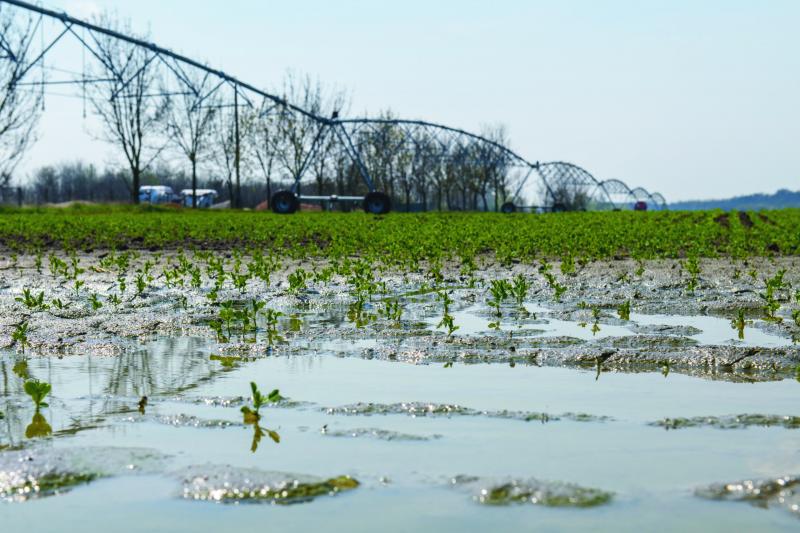 AKI-beszámolók gazdáknak: Innovatív öntözésfejlesztés és mesterséges intelligencia a magyar mezőgazdaságban

A mezőgazdaság világszerte folyamatosan fejlődik, és a technológiai újítások kulcsszerepet játszanak ebben a folyamatban. Az Agrárgazdasági Kutató